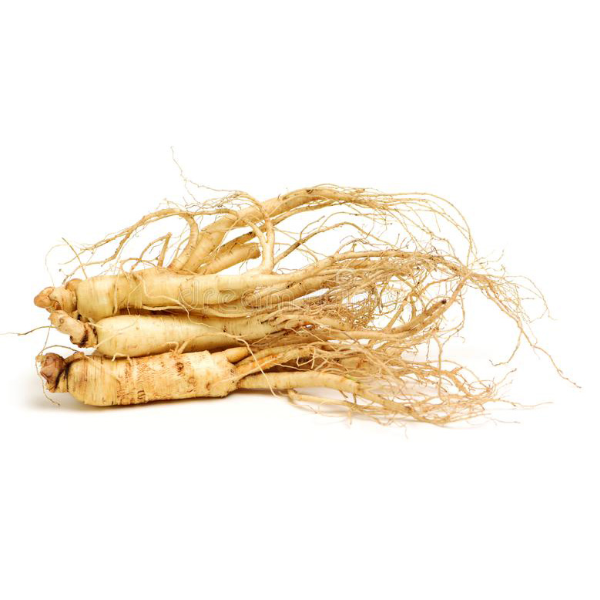 Ginseng